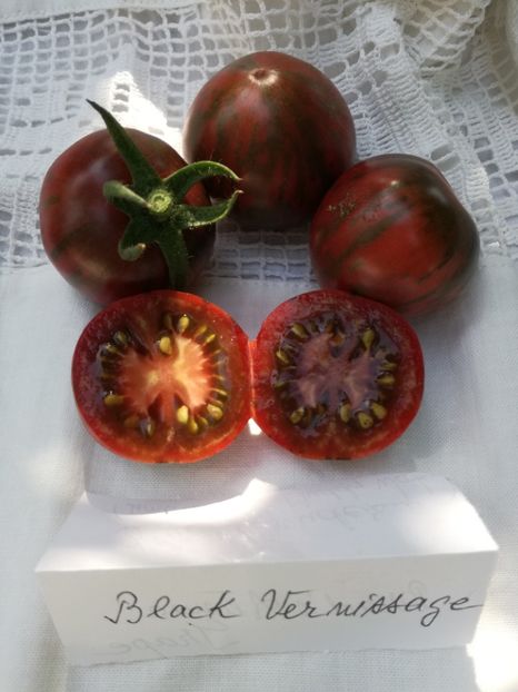  - Tomate