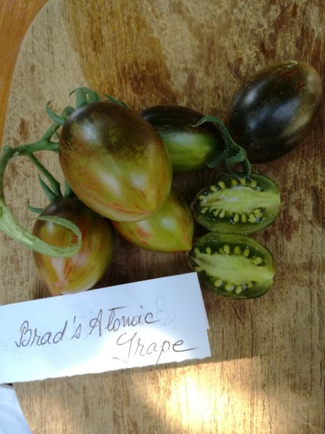  - Tomate
