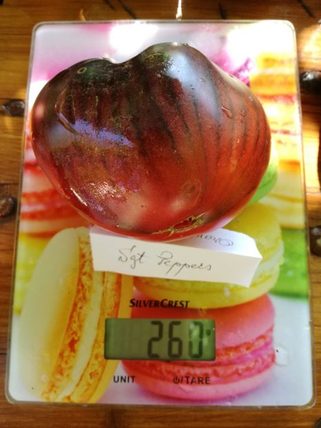 - Tomate