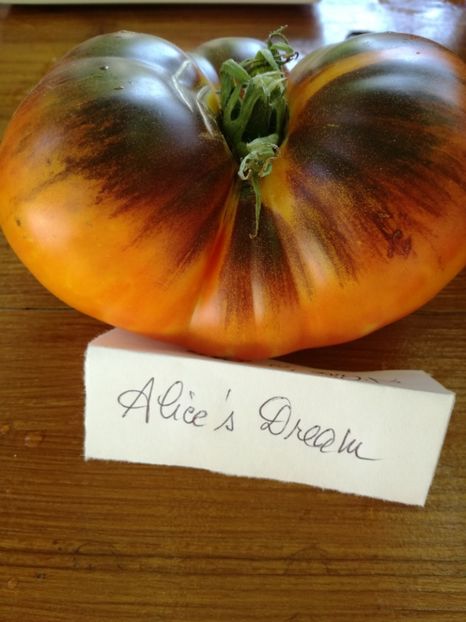  - Tomate