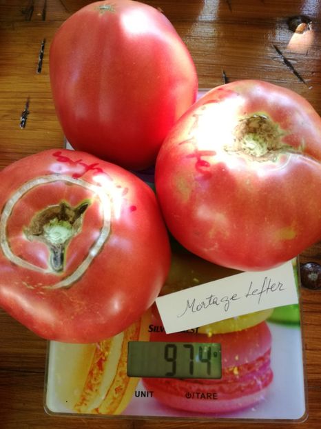  - Tomate