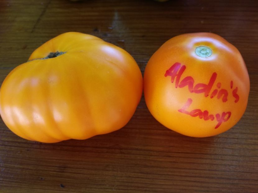  - Tomate