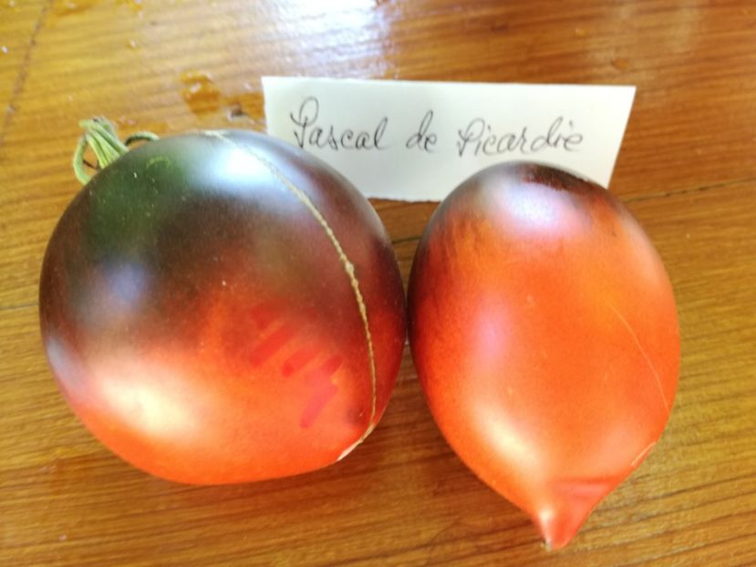  - Tomate