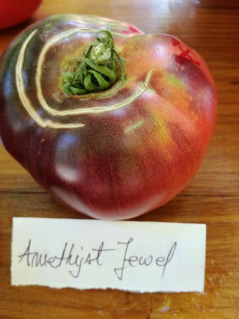  - Tomate