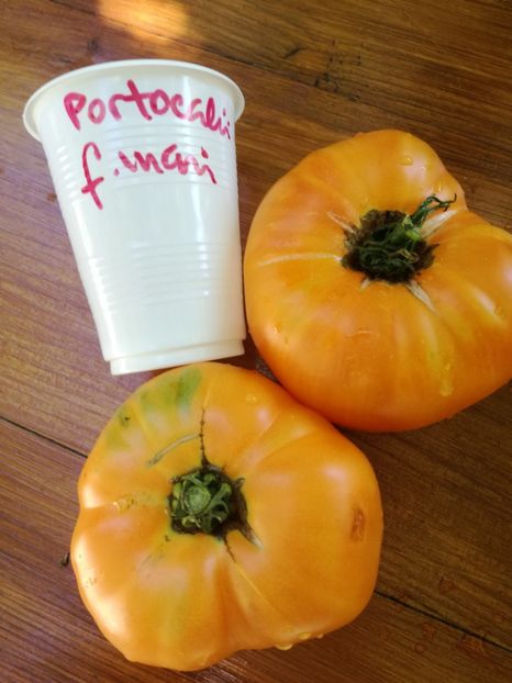  - Tomate
