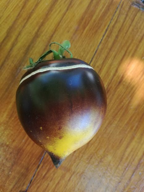  - Tomate