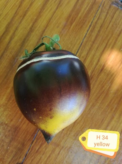  - Tomate