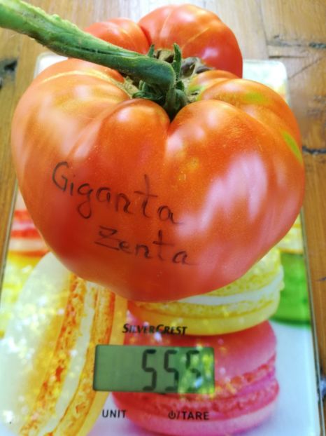  - Tomate
