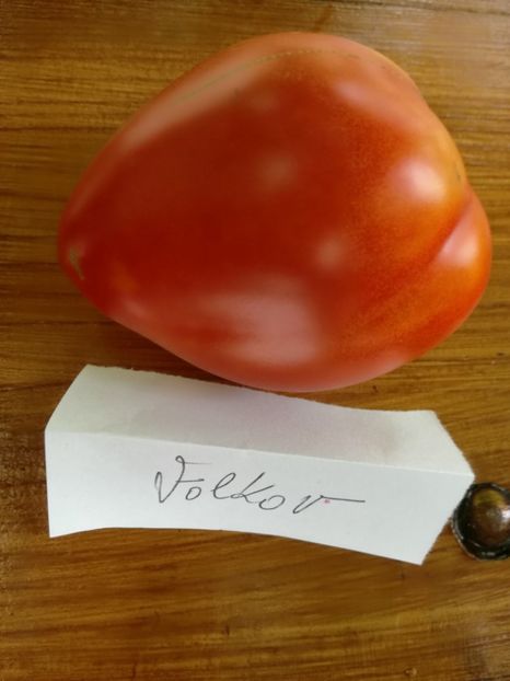  - Tomate