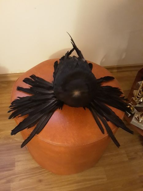  - Poze Tobosari 2020