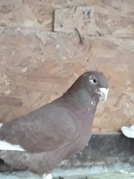 20200301_154745 (1) - CONTACT