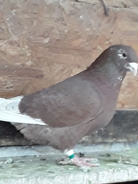 20200301_154746 (1) - CONTACT