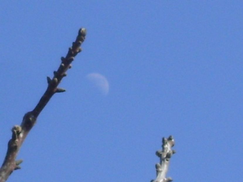 Primul patrar al Lunii in Gemeni - Luna - Soarele si norii - 2