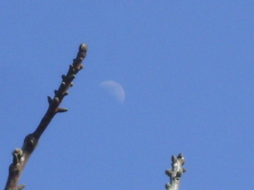 Primul patrar al Lunii in Gemeni - Luna - Soarele si norii - 2