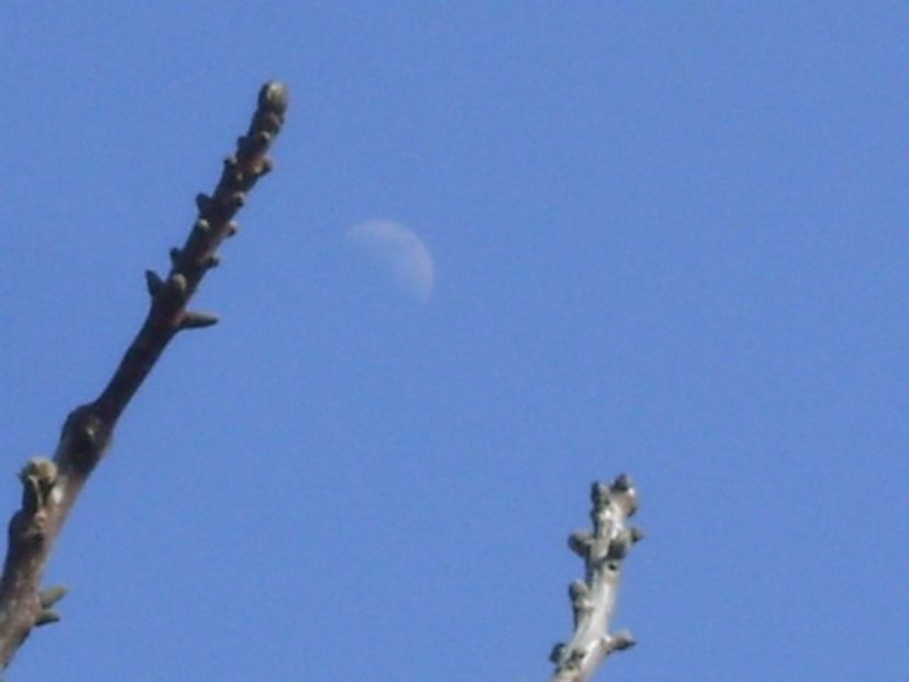 Primul patrar al Lunii in Gemeni - Luna - Soarele si norii - 2