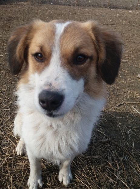 - RIP Athos