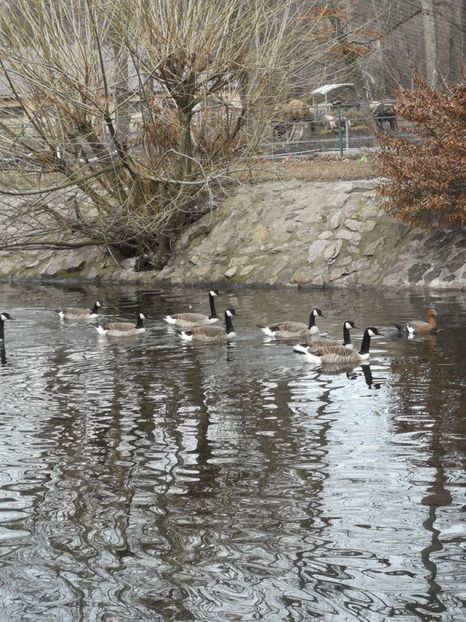 Zoo Mureș - In vizita