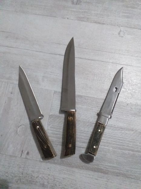  - Briceag-Baioneta Martie 2020