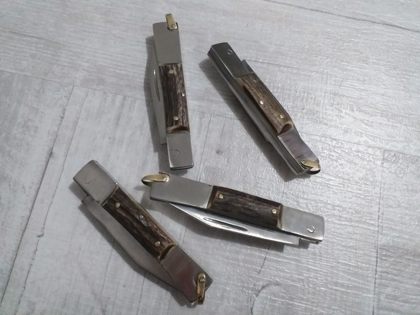  - Briceag-Baioneta Martie 2020