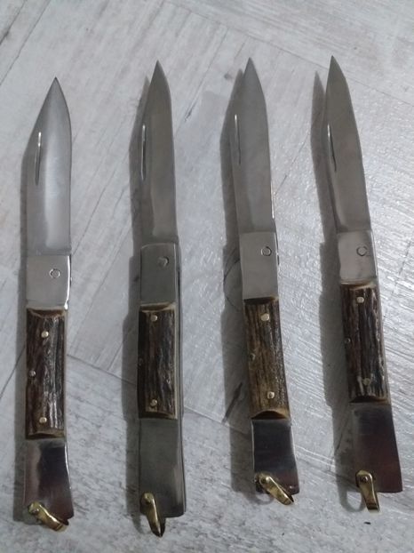  - Briceag-Baioneta Martie 2020