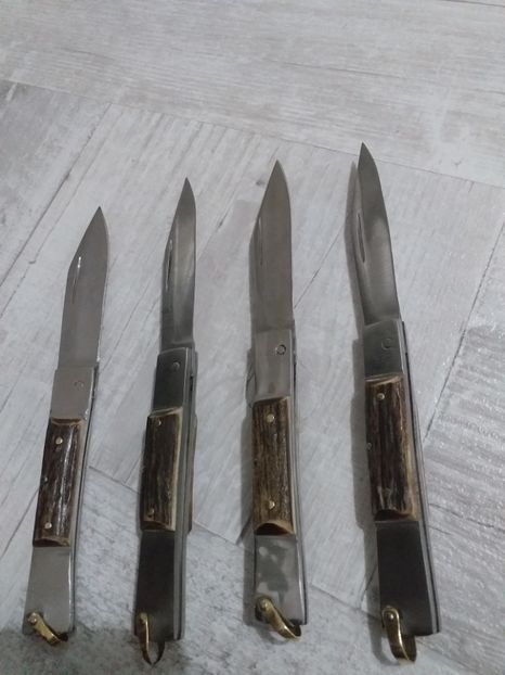  - Briceag-Baioneta Martie 2020