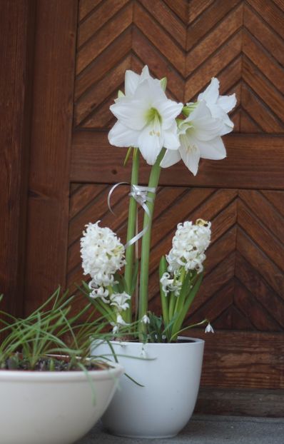  - Martie 2019- Martie 2020