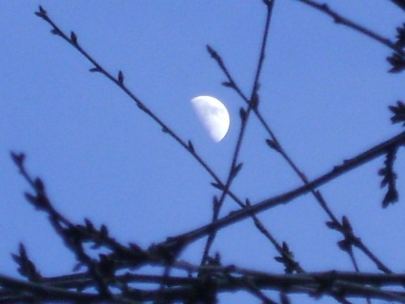Luna in crestere in Rac - Luna - Soarele si norii - 2