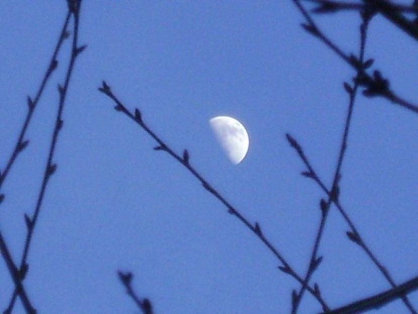 Luna in crestere in Rac - Luna - Soarele si norii - 2