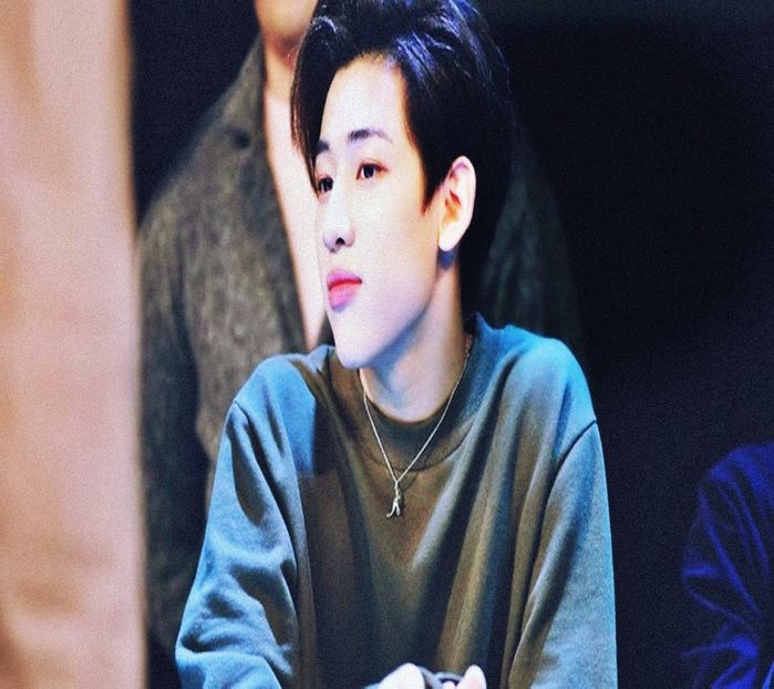 『ExhaleTheBullshit』got ⚘ BamBam ⚘ - 01 Mes chartreuses sapphires