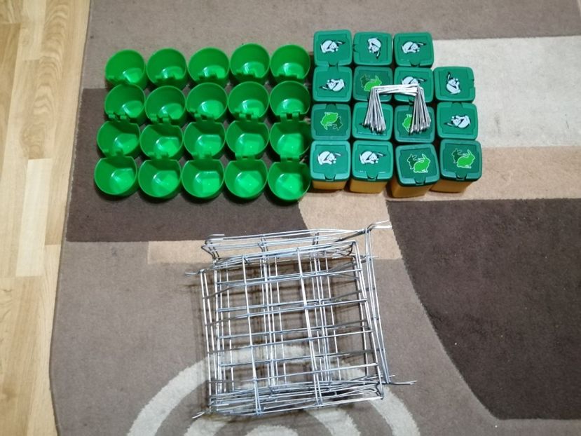  - Cușcă 2020 tineret