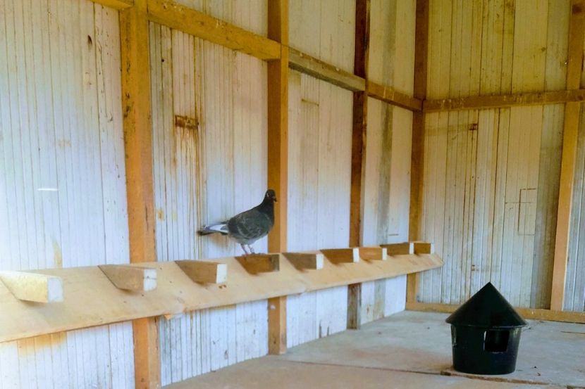 20200302_143936~2 - 2020