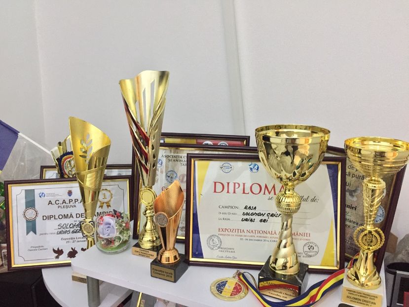 Meritele obținute - 0 C O N T A C T-0741255879