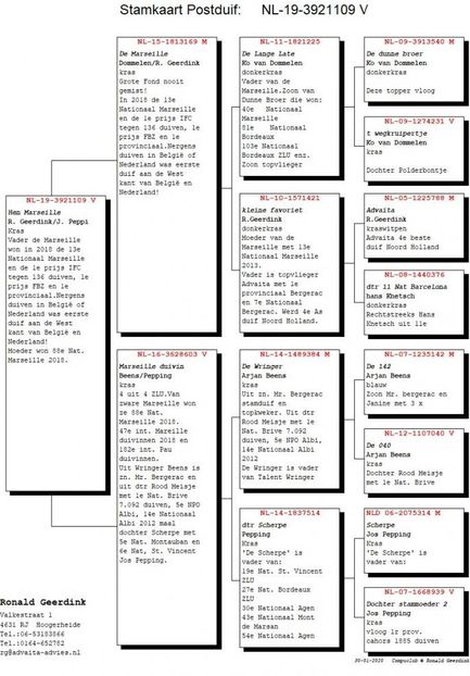 19-3921109 - ACHIZIȚII 2020