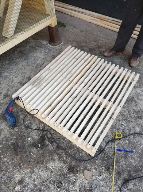  - 2020-Crescatorie Pui