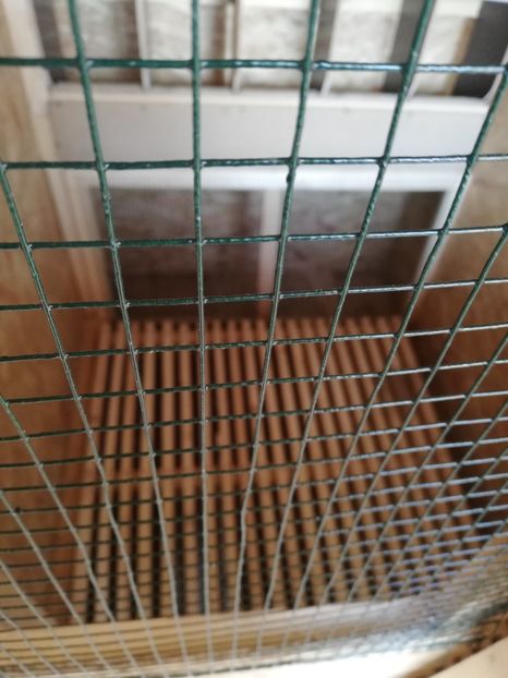  - 2020-Crescatorie Pui