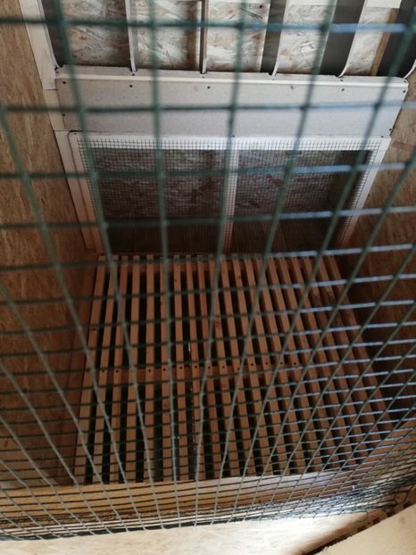  - 2020-Crescatorie Pui