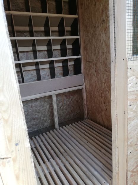  - 2020-Crescatorie Pui