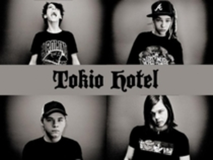 SNTQKMQUAAMNKDKRDSE - tokio hoteL