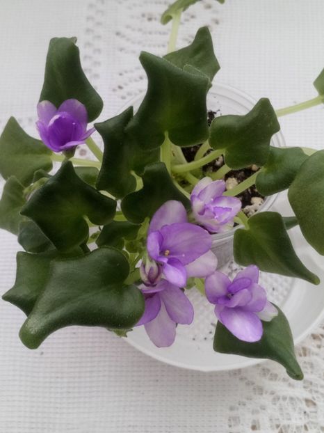 28 feb - Rob s Humpty Doo