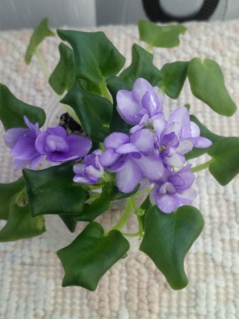 6 mar - Rob s Humpty Doo