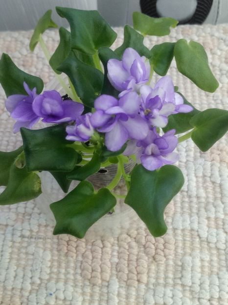 6 mar - Rob s Humpty Doo