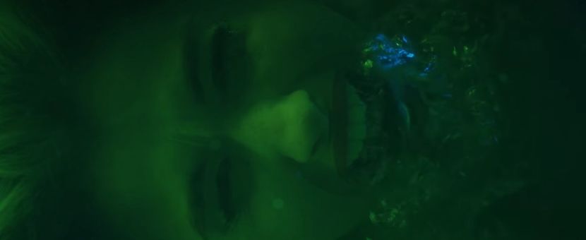 bandicam 2020-03-08 13-43-33-820 - A - Aripi de Vis