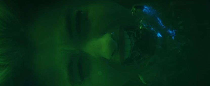 bandicam 2020-03-08 13-43-34-143 - A - Aripi de Vis