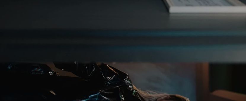 bandicam 2020-03-08 13-44-42-680 - A - Aripi de Vis