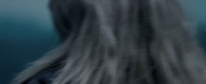 bandicam 2020-03-08 13-45-24-287 - A - Aripi de Vis