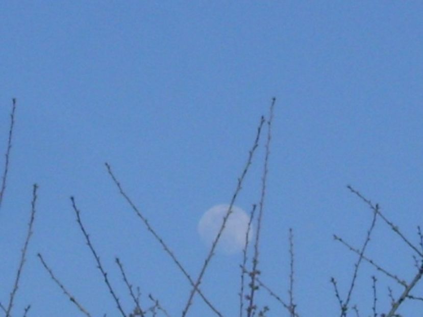 Luna in crestere in Leu - Luna - Soarele si norii - 2