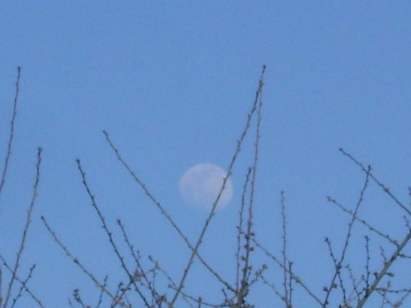 Luna in crestere in Leu - Luna - Soarele si norii - 2