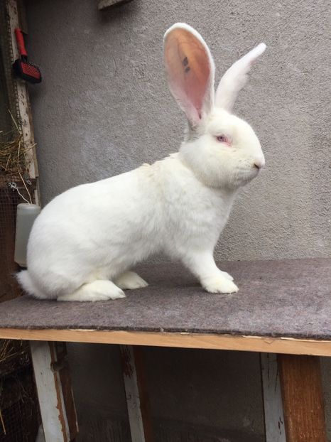 5D811CF1-0F6D-4228-9B86-5872EC974163 - RO 8-193