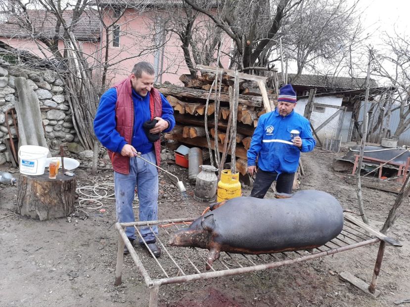  - La țară în martie 2020