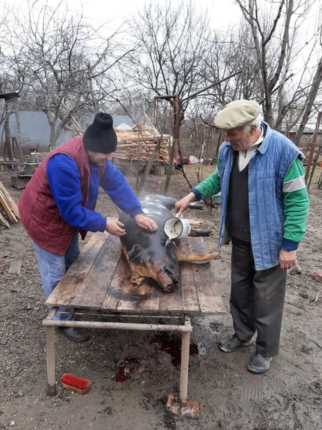  - La țară în martie 2020